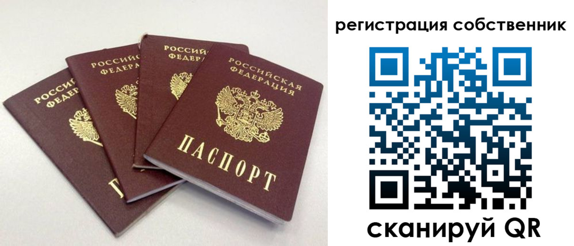 прописка для школы в Костромской области